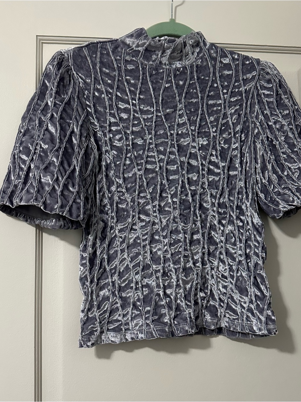 Anthropologie Calligraphie Crushed Velvet Mock Neck Gray Top sz S
